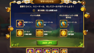 [Hero Wars攻略]サマーバンドル